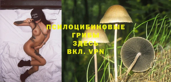 молекула духа Баксан